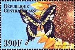 Papilio cresphontes