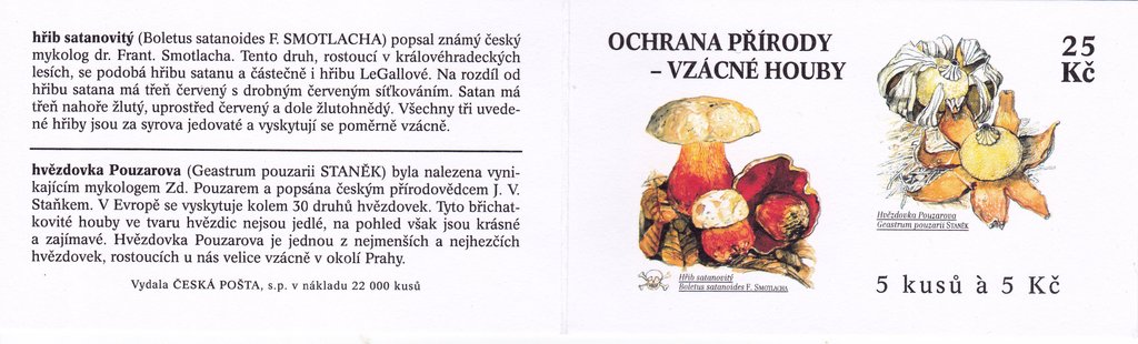 Rare mushrooms: Hřib + Hvězdovka