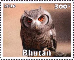 Stamp, Owl, Cinderellas,  , Animals (Fauna), Birds, Owls