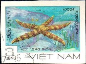 Stamp, Mottled Sea Star (Nardoa tuberculata), Vietnam,  , Animals (Fauna), Sea Life