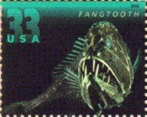 Fangtooth (Anoplogastridae)
