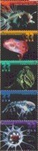 Deep Sea Creatures - Strip of 5