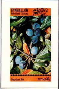 Souvenir Sheet, Blackthorn Sloe, Cinderellas,  , Plants (Flora)