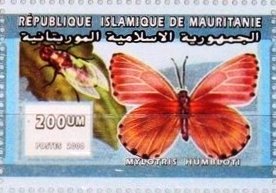 Stamp, Mylotris humboldti, Mauritania,  , Animals (Fauna), Butterflies, Insects
