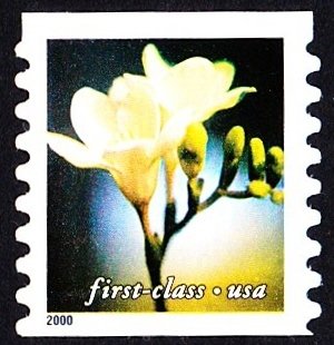 Stamp, Freesia, United States of America,  , Flowers