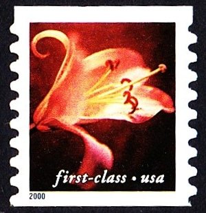 Stamp, Asian Hybrid Lily, United States of America,  , Flowers