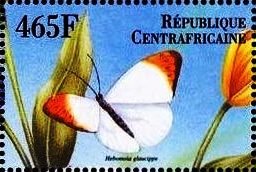 Stamp, Hebomoia glaucippe, Central African Republic,  , Animals (Fauna), Butterflies, Insects