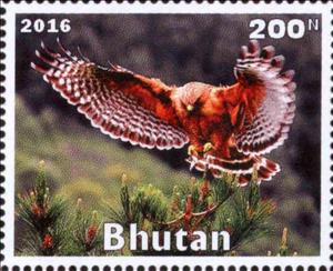 Stamp, Owl, Cinderellas,  , Animals (Fauna), Birds, Owls