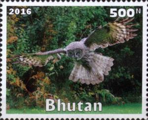 Stamp, Owl, Cinderellas,  , Animals (Fauna), Birds, Owls