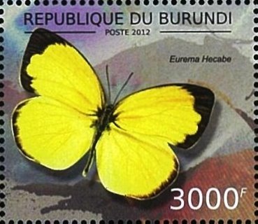 Eurema hecabe