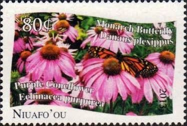 Danaus plexippus