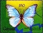 Stamp, Morpho diana, Guyana,  , Animals (Fauna), Butterflies, Insects