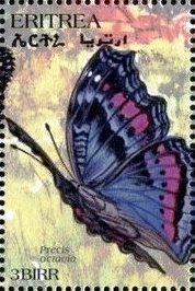 Stamp, Precis octavia, Eritrea,  , Animals (Fauna), Butterflies, Insects
