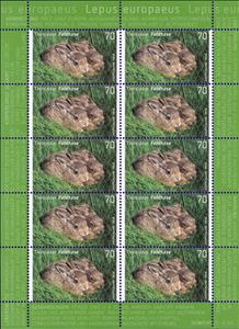 Mini Sheet, Brown hare (Lepus europeus), Germany, Federal Republic,  , Animals (Fauna), Hares, Infant Animals, Mammals