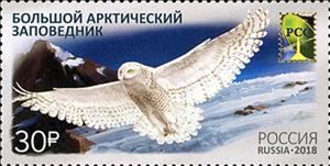 Stamp, RCC Issue 2018 - Great Arctic State Nature Reserve, Russia,  , Animals (Fauna), Birds, Birds of Prey, National Parks, Owls