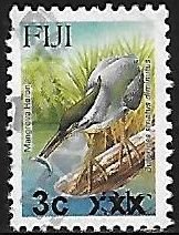 Striated Heron (Butorides striatus)