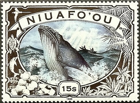 Humpback Whale Surfacing