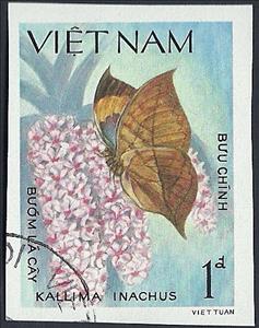 Stamp, Orange Oakleaf (Kallima inachus), Vietnam,  , Animals (Fauna), Butterflies, Insects