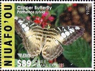 Parthenos sylvia