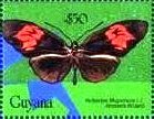 Stamp, Heliconius melpomene, Guyana,  , Animals (Fauna), Butterflies, Insects