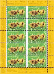 Mini Sheet, Greylag goose (Anser anser), Germany, Federal Republic,  , Animals (Fauna), Birds, Geese, Infant Animals