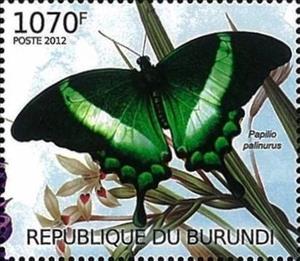 Stamp, Papilio palinurus, Burundi,  , Animals (Fauna), Butterflies, Insects