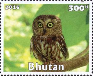 Stamp, Owl, Cinderellas,  , Animals (Fauna), Birds, Owls