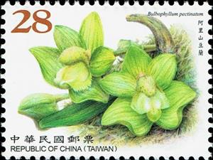 Stamp, Bulbophyllum pectinatum, Taiwan (Republic of China),  , Flowers, Orchids, Plants (Flora)