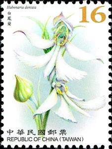 Stamp, Habenaria dentata, Taiwan (Republic of China),  , Flowers, Orchids, Plants (Flora)
