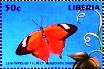 Stamp, Autumn Leaf (Doleschallia bisaltide), Liberia,  , Animals (Fauna), Butterflies, Insects