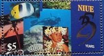Fish, Palm tree, Diver and Child