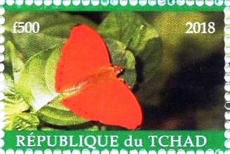 Stamp, African butterflies - Western red glider (Cymothoe mabillei), Cinderellas,  , Animals (Fauna), Butterflies, Insects