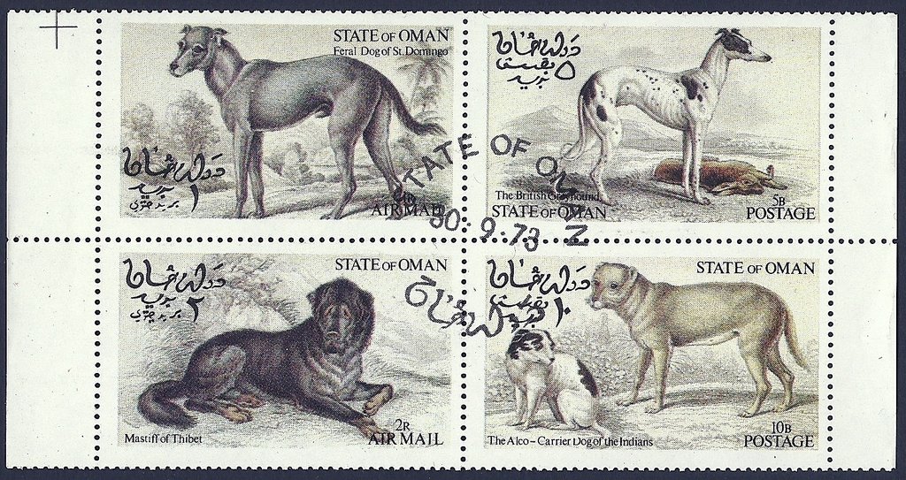 Dogs