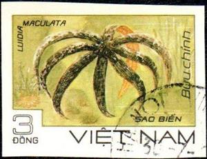 Stamp, Eight-armed Luidia Sea Star (Luidia maculata), Vietnam,  , Animals (Fauna), Sea Life