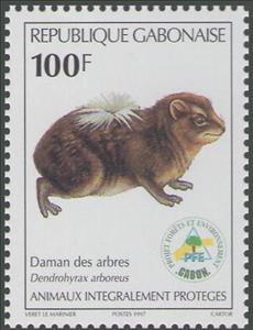 Stamp, Dendrohyrax arboreus, Gabon,  , Animals (Fauna), Mammals
