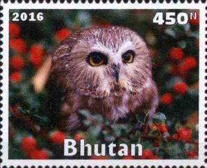 Stamp, Owl, Cinderellas,  , Animals (Fauna), Birds, Owls
