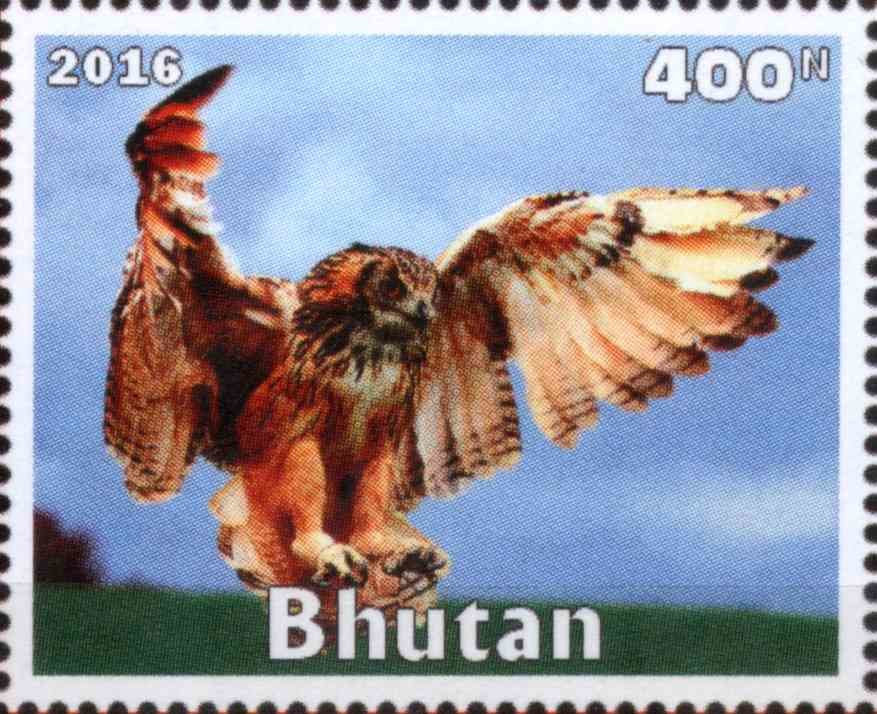 Owl