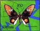 Stamp, Parides coelus, Guyana,  , Animals (Fauna), Butterflies, Insects