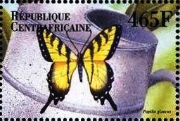 Papilio glaucus