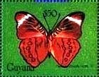 Stamp, Panacea procilla, Guyana,  , Animals (Fauna), Butterflies, Insects