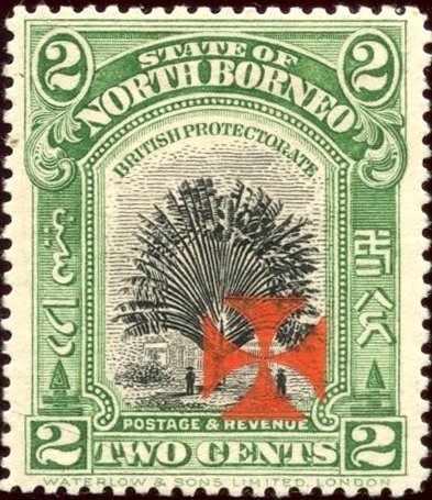 Travelers' Palm with Maltese Cross