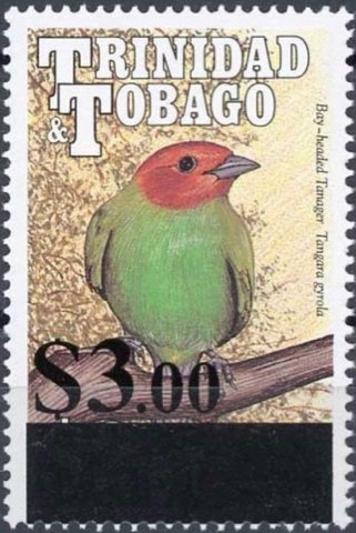 Surcharge on Bay-Headed Tanger