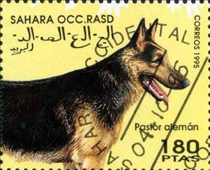 Stamp, Pastor aleman, Cinderellas,  , Animals (Fauna), Dogs