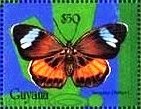 Stamp, Nessaea obrinus, Guyana,  , Animals (Fauna), Butterflies, Insects