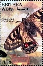 Stamp, Parnassius charltonius, Eritrea,  , Animals (Fauna), Butterflies, Insects