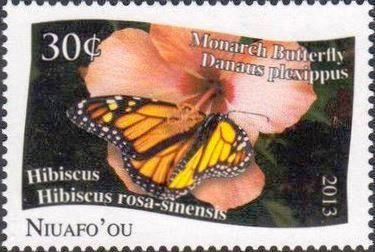 Danaus plexippus