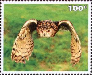 Stamp, Owl, Cinderellas,  , Animals (Fauna), Birds, Owls