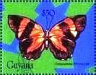 Stamp, Catagramma pitheas, Guyana,  , Animals (Fauna), Butterflies, Insects