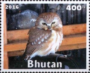 Stamp, Owl, Cinderellas,  , Animals (Fauna), Birds, Owls
