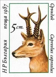 Stamp, Roebuck (Capreolus capreolus), Bulgaria,  , Animals (Fauna), Deer, Mammals